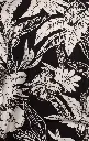 _DSF1085~2.webp